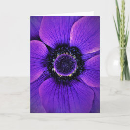 Anemone, tarjeta