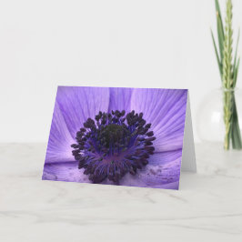 Anemone, tarjeta