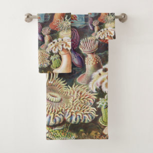 Anemones marinos, Actiniae Seanemonen Ernst Haecke