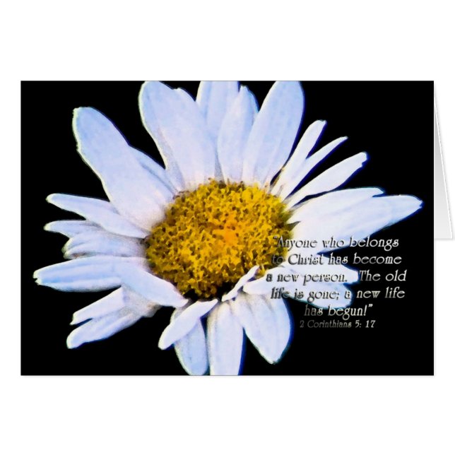 AnewlifehasstartZazzle (Anverso (Horizontal))