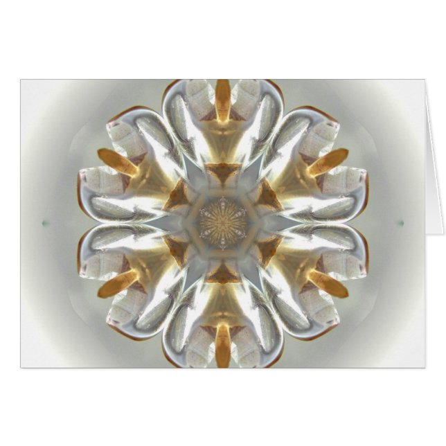 Ángel ártico (Anverso (Horizontal))