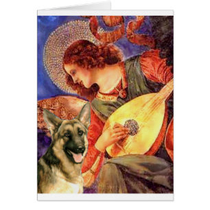 Ángel de la Mandolina - Pastor Alemán 2