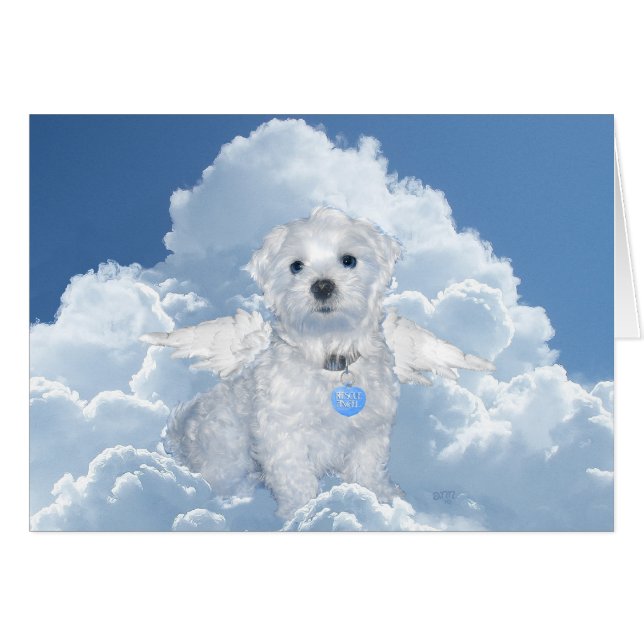 Ángel de rescate maltés (Anverso (Horizontal))