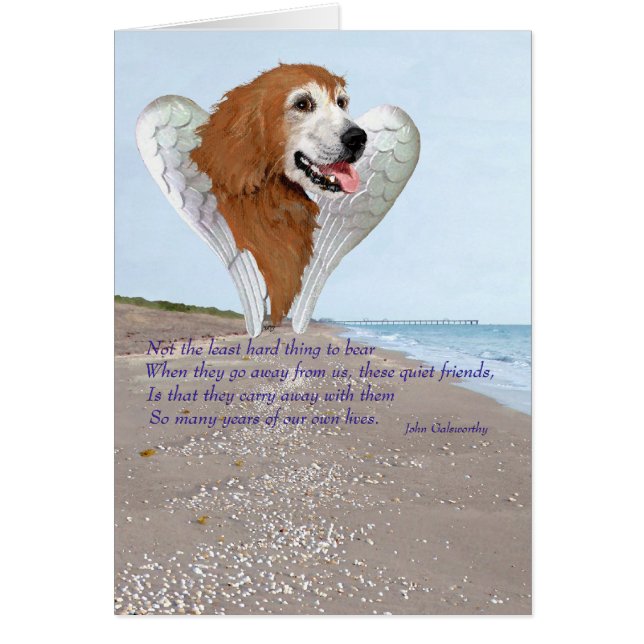 Angel del Golden Retriever (Frente)