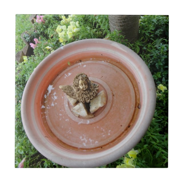 Ángel en teja del baño del pájaro (Frente)