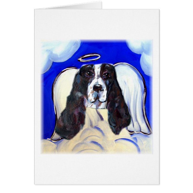Angel English Springer Spaniel (Frente)