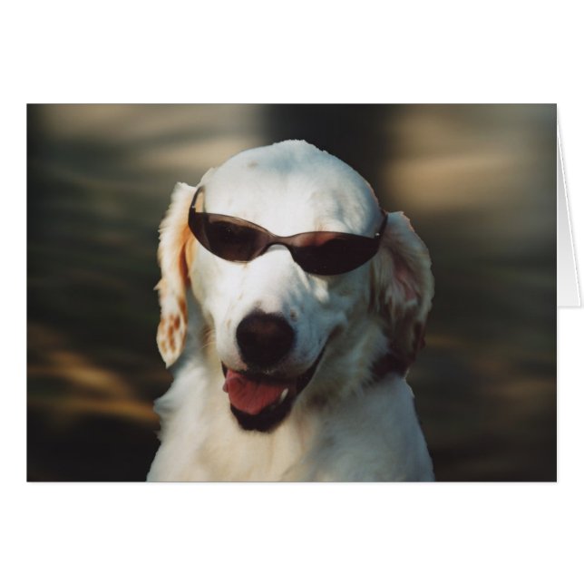 Angel Eyes (Anverso (Horizontal))