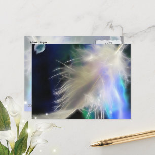 Angel Feather, postal