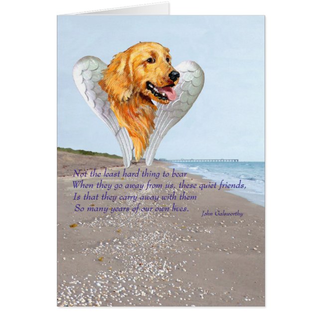 Ángel Golden Retriever (Frente)