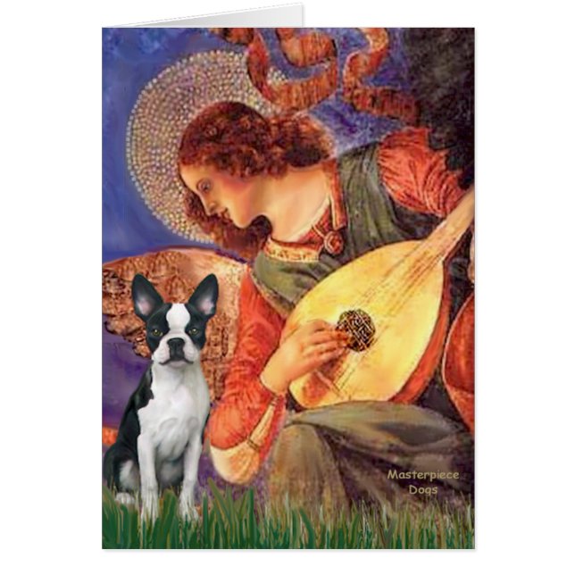 Ángel Mandolin - Boston Terrier #1 (Frente)