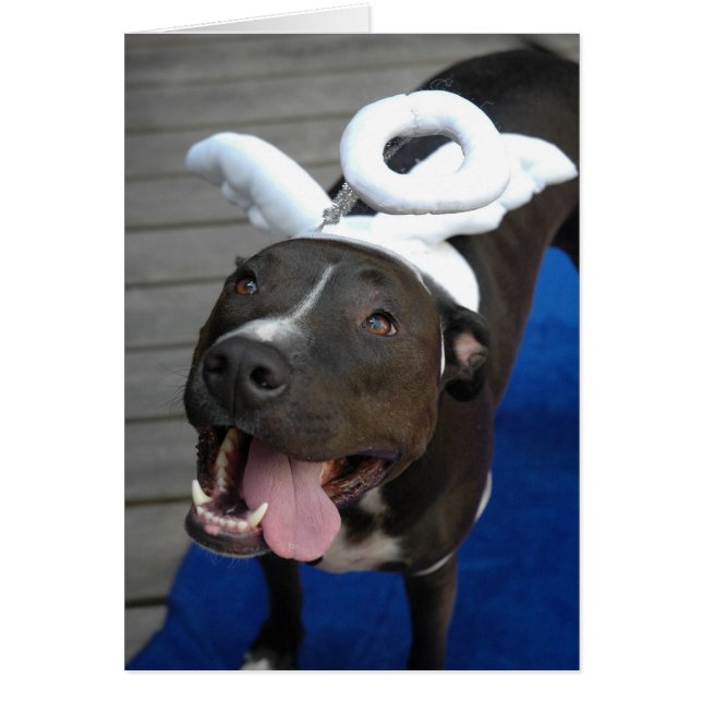 Ángel peludo (Frente)