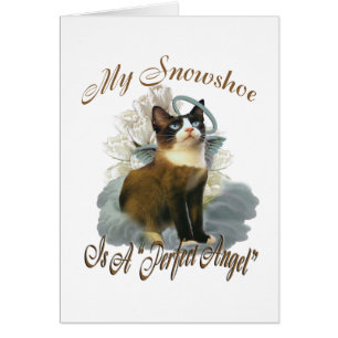 Ángel perfecto de la raqueta