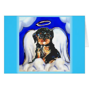 Angel Yorkie Poo