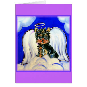 Angel Yorkie Poo