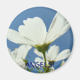 ¡Angeles! Imán de flores de margarita blanca alas