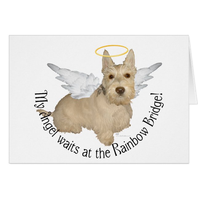 Ángeles Wheaten Scottish Terrier (Anverso (Horizontal))