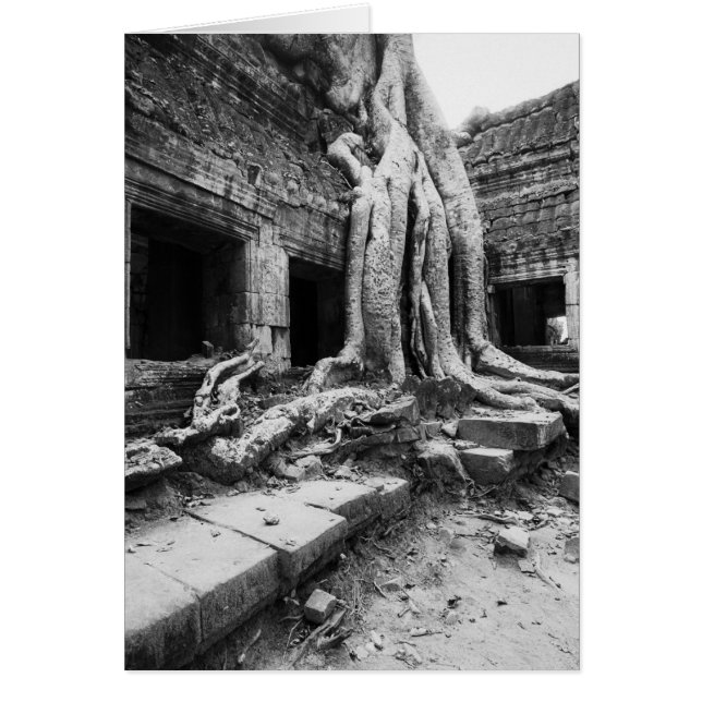 Angkor Camboya, Ta Prohm Tree (Frente)