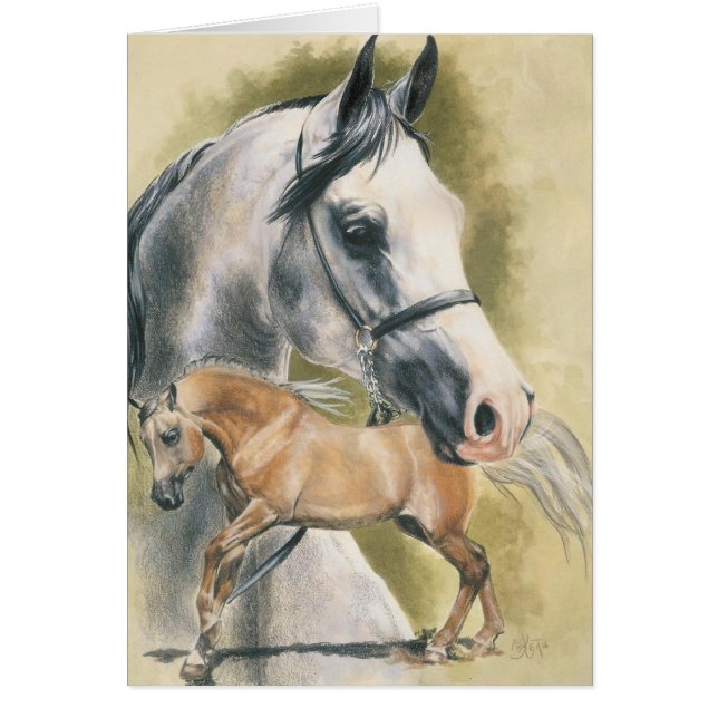 Anglo-Arabian (Frente)