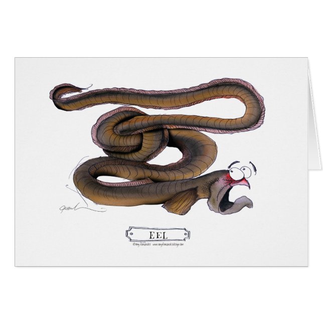 Anguila, fernandes tony (Anverso (Horizontal))