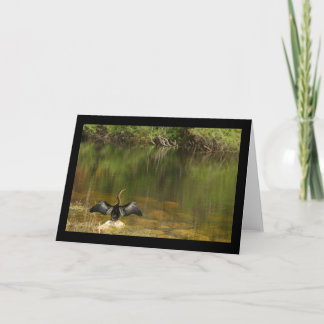 Anhinga en la tarjeta de felicitación de los maris
