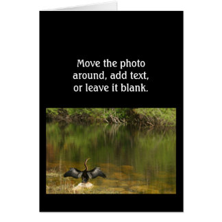 Anhinga en los Everglades - Tarjeta de visita