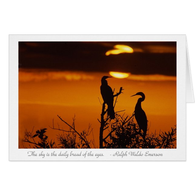 Anhingas al amanecer (Anverso (Horizontal))