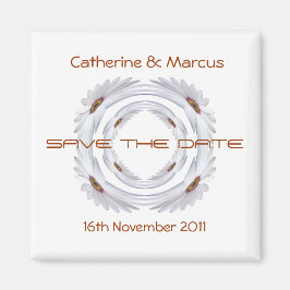 Anillo de margarita africano salva el imán de la p