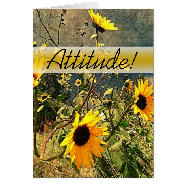 Animación de los girasoles antes de las nubes de t (Frente)