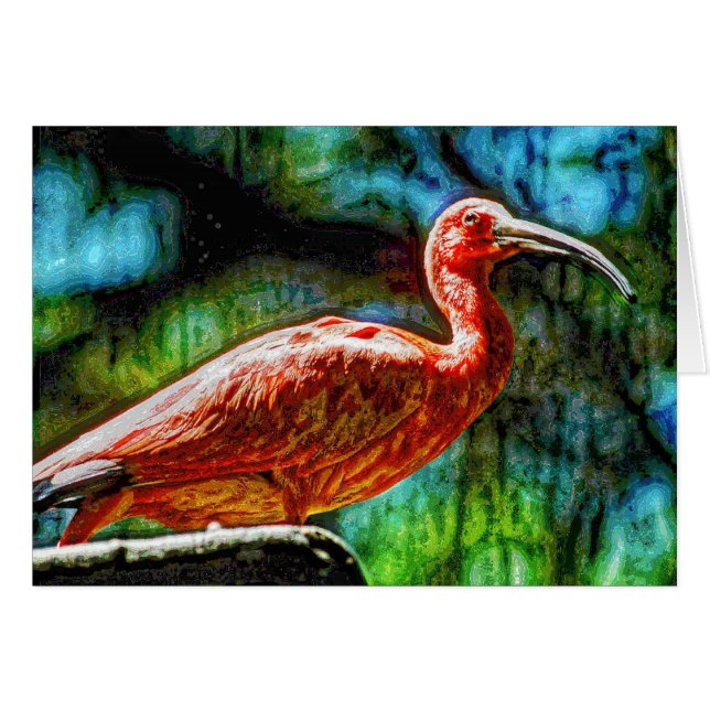 Animal04 (Anverso (Horizontal))