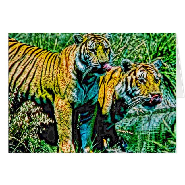 Animal27 (Anverso (Horizontal))