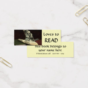 Animal Antiguo, Gatito Victoriano Lindo Leyendo Li