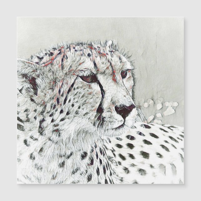 animal de smartmix: cheetah (Anverso)