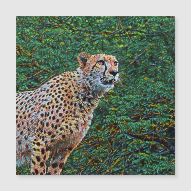 animal de smartmix: chita 6 (Anverso)