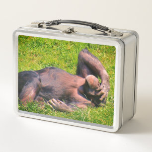 Animal divertido del chimpancé