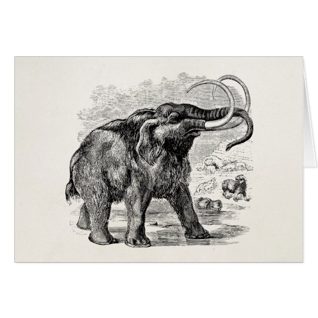 Animal extinto personalizado del mamut lanoso del (Anverso (Horizontal))
