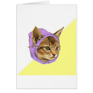 Animal Meme del consejo del gato del gatito del