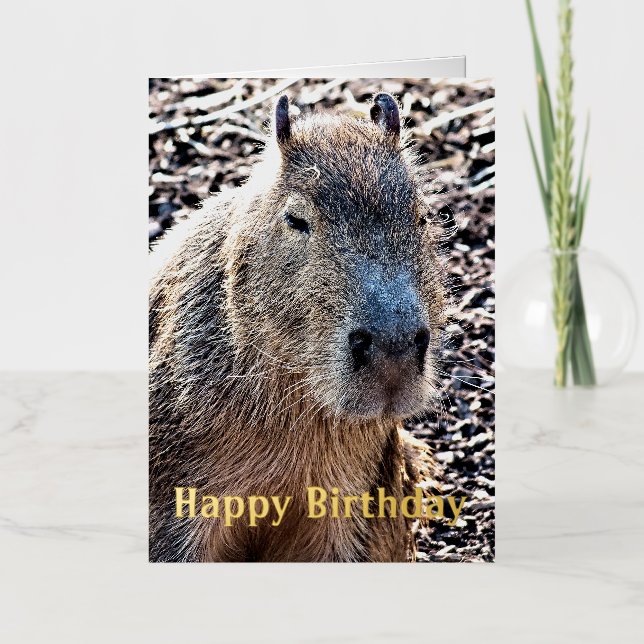 ANIMAL SALVAJE CAPYBARA (Anverso)