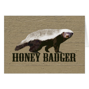 Animal salvaje Honey Badger