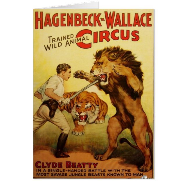 Animal salvaje más doméstico (Frente)