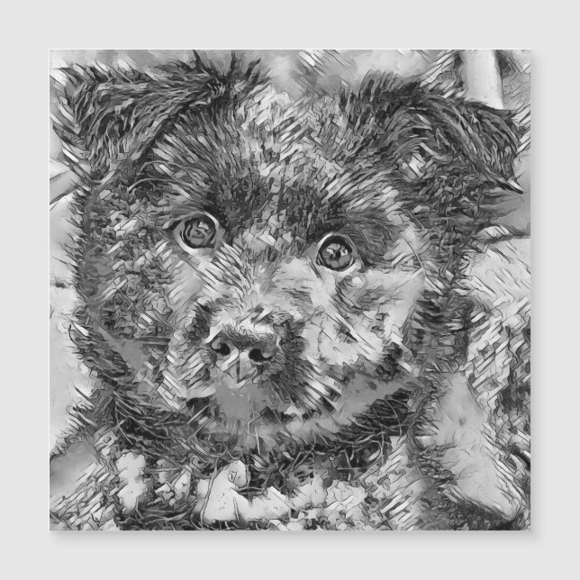 AnimalArtBW_Dog_005 (Anverso)