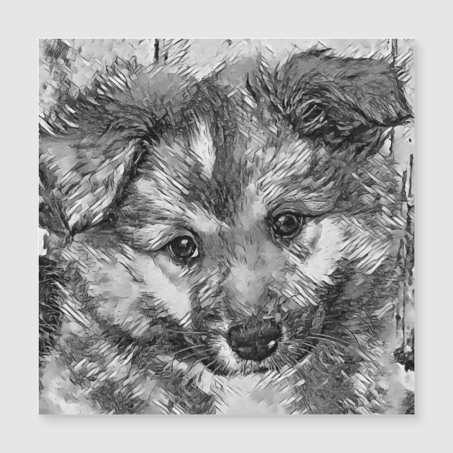 AnimalArtBW_Dog_010 (Anverso)