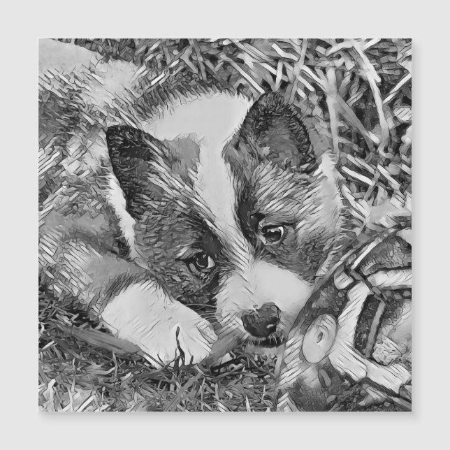 AnimalArtBW_Dog_012 (Anverso)