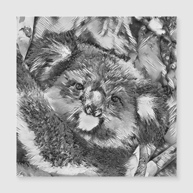 AnimalArtBW_Koala_001 (Anverso)