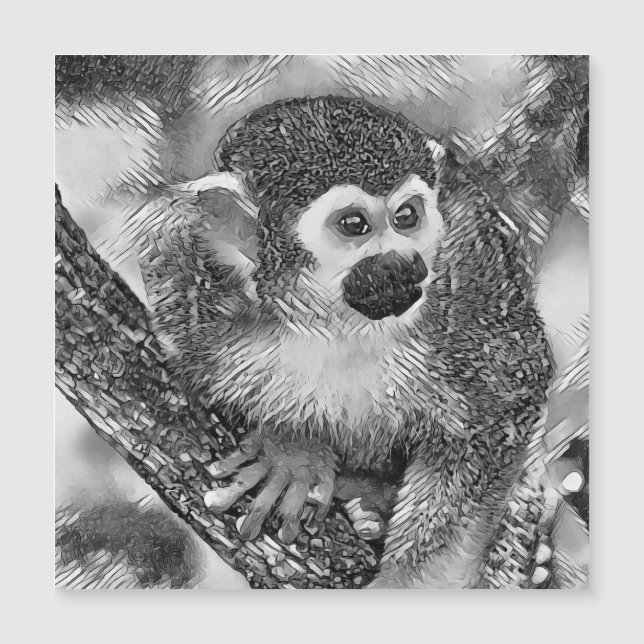 AnimalArtBW_Monkey_002 (Anverso)