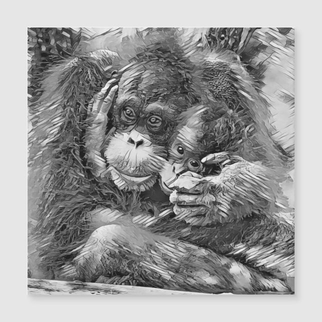 AnimalArtBW_OrangUtan_001 (Anverso)