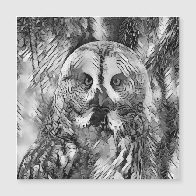 AnimalArtBW_Owl_001 (Anverso)