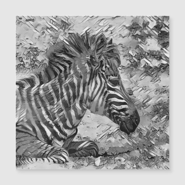 AnimalArtBW_Zebra_001 (Anverso)
