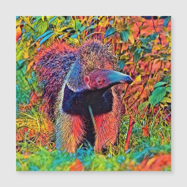 AnimalColor_Anteater_001 (Anverso)