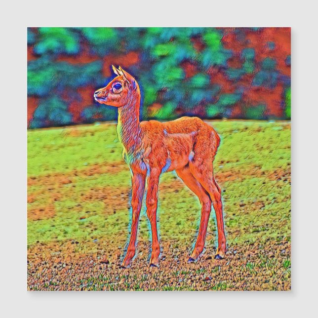 AnimalColor_Antilope_001 (Anverso)