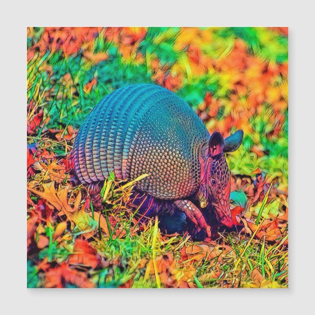 AnimalColor_Armadillo_001 (Anverso)